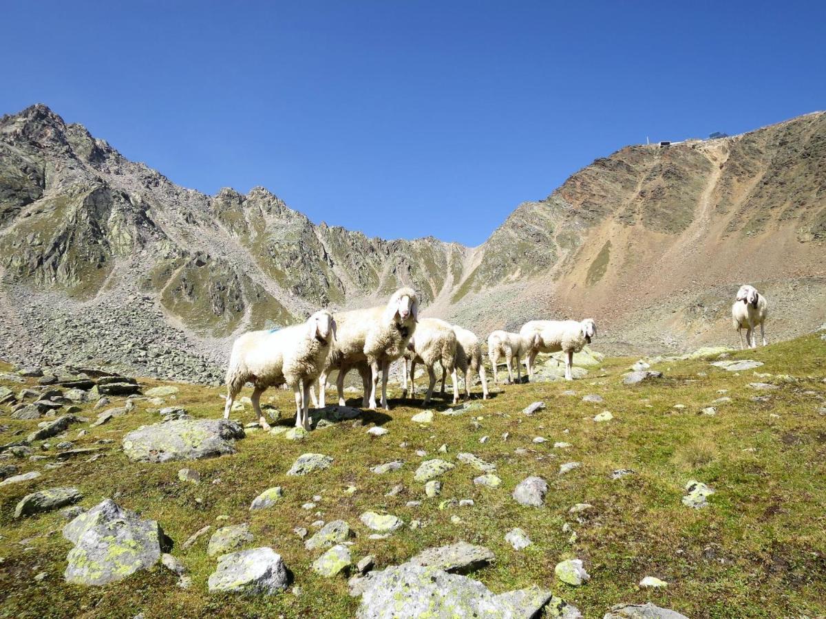 Apartment Appartment Wildmoos - Soe316 By Interhome Sölden Dış mekan fotoğraf